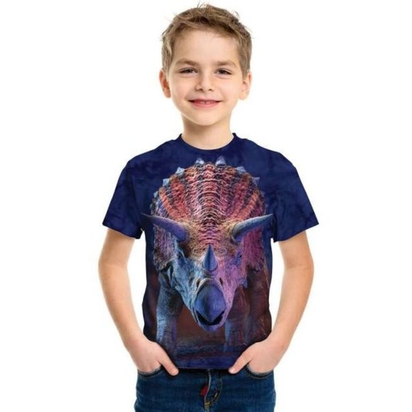 The Mountain Charging Triceratops Dinosaur Reptile Triassic Kids T-Shirt L-XL - Picture 2 of 4
